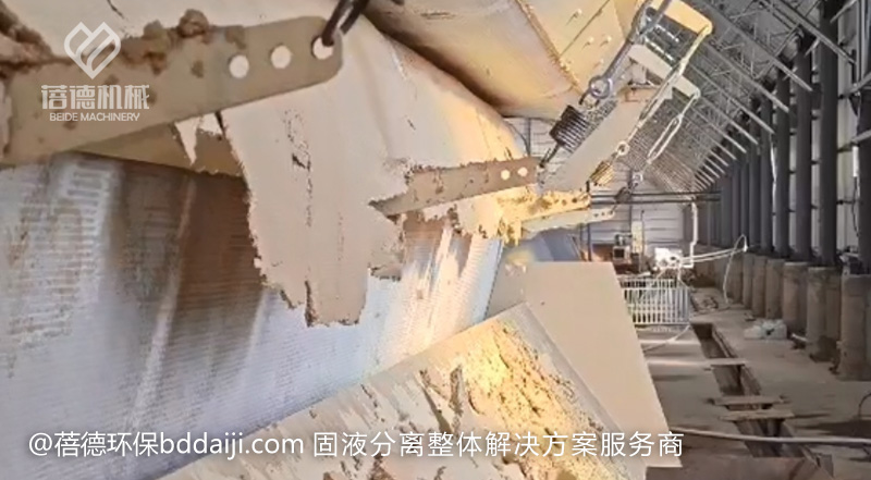 1717466454291894.jpg PSD6.jpg